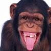 [ИЩУ] Полный курс по распознаванию лжи - последнее сообщение от makakan